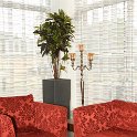 croton de luxein square 90